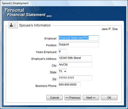 Personal Financial Statement Software